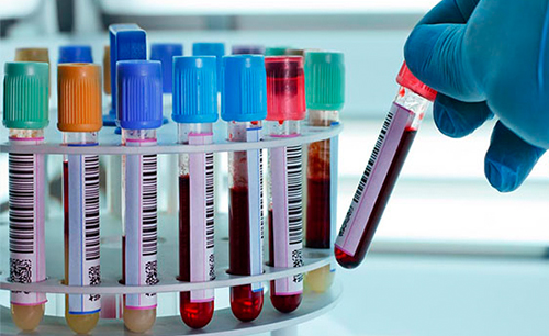 Laboratorio